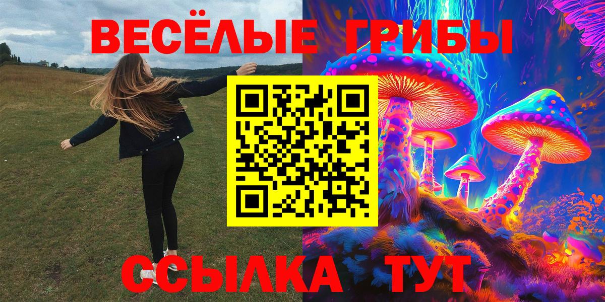 Галлюциногенные грибы Psilocybe Менделеевск