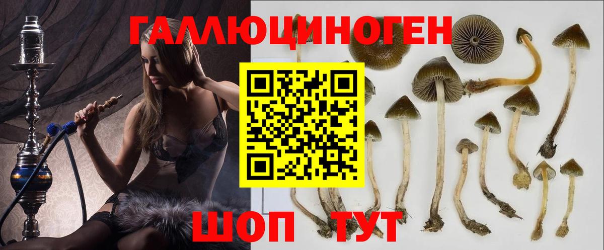 Галлюциногенные грибы Cubensis  Вход с VPN  Псилоцибиновые грибы Psilocybine cubensis  Менделеевск 